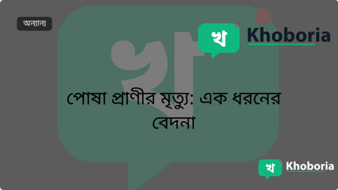 পোষা প্রাণীর মৃত্যু: এক ধরনের বেদনা
