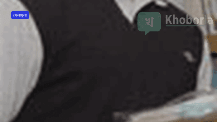 বিপিএল নিলাম: মুশফিক ও মাহমুদউল্লাহ দল পেয়েছেন