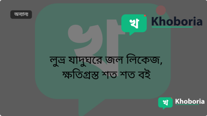 লুভ্র যাদুঘরে জল লিকেজ, ক্ষতিগ্রস্ত শত শত বই