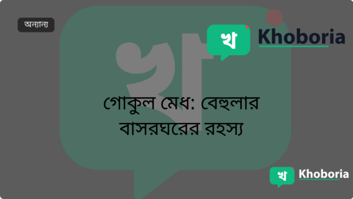 গোকুল মেধ: বেহুলার বাসরঘরের রহস্য