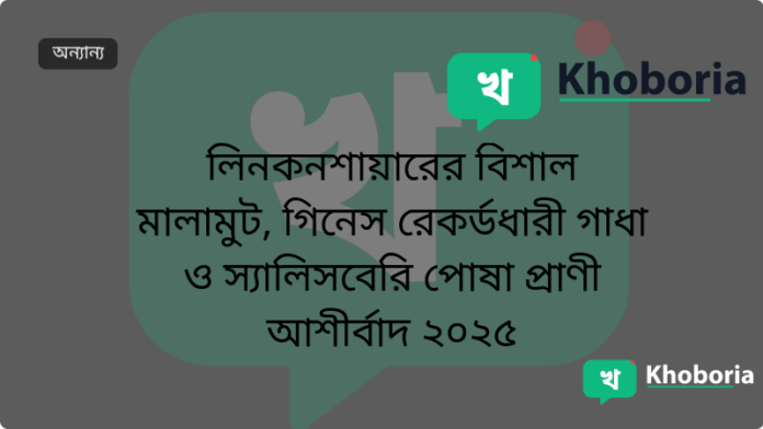 লিনকনশায়ারের বিশাল মালামুট, গিনেস রেকর্ডধারী গাধা ও স্যালিসবেরি পোষা প্রাণী আশীর্বাদ ২০২৫