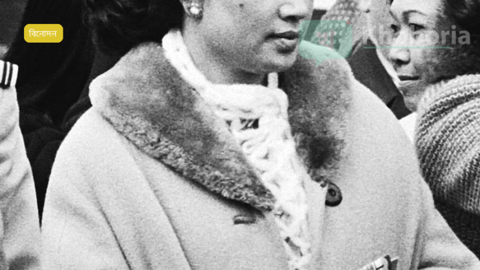 জুনাইদ খান ও খুশি কাপুরের প্রথম চলচ্চিত্র ‘লাভেয়াপা’ ৭ ফেব্রুয়ারি ২০২৫ে বিশ্বব্যাপী মুক্তি পাবে