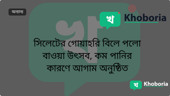 সিলেটের গোয়াহরি বিলে পলো বাওয়া উৎসব, কম পানির কারণে আগাম অনুষ্ঠিত