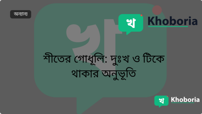 শীতের গোধূলি: দুঃখ ও টিকে থাকার অনুভূতি