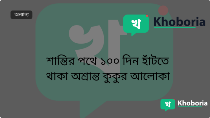 শান্তির পথে ১০০ দিন হাঁটতে থাকা অশ্রান্ত কুকুর আলোকা