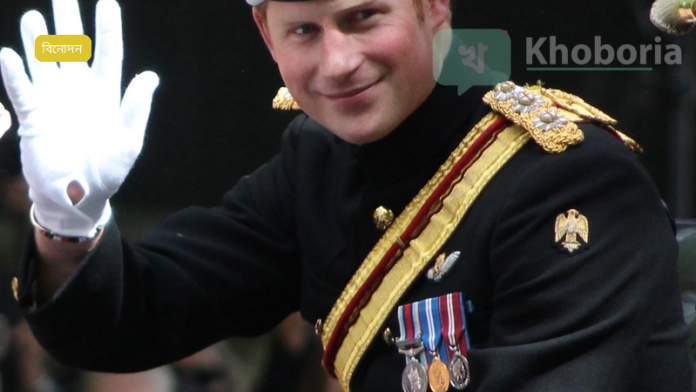 প্রিন্স হ্যারি ও অন্যান্য সেলিব্রিটি দৈনিক মেইলকে গোপনীয়তা লঙ্ঘনের অভিযোগে মামলা