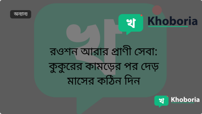 রওশন আরার প্রাণী সেবা: কুকুরের কামড়ের পর দেড় মাসের কঠিন দিন