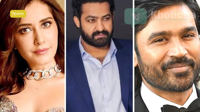 ধনুশের ‘তেরে ইশক মেইন’ টিজার প্রকাশ, নারী প্রধানের পরিচয় জানবে ২৮ জানুয়ারি