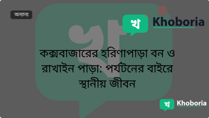 কক্সবাজারের হরিণাপাড়া বন ও রাখাইন পাড়া: পর্যটনের বাইরে স্থানীয় জীবন