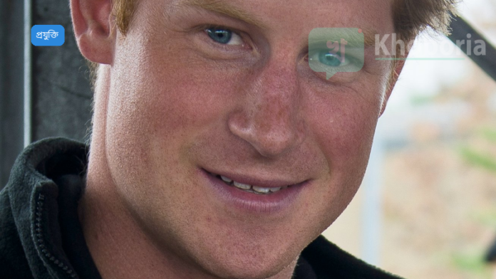 প্রিন্স হ্যারি শোকাহত পরিবারকে ধন্যবাদ জানালেন, ইনস্টাগ্রাম ও ইউটিউবের মামলা শোনানিতে