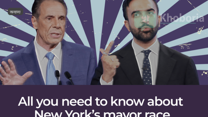 ডিশওয়াশার লোডিংয়ের সঠিক পদ্ধতি: পাঁচটি মূল নিয়ম