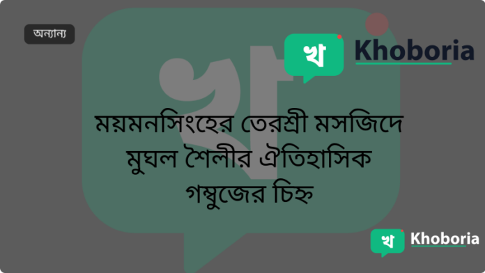 ময়মনসিংহের তেরশ্রী মসজিদে মুঘল শৈলীর ঐতিহাসিক গম্বুজের চিহ্ন